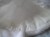 P1010041.JPG