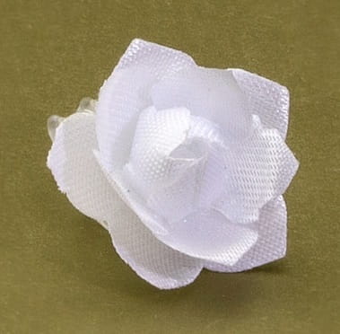 WP- 002.jpg