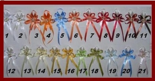 WZORNIK KOTYLIONÓW.jpg